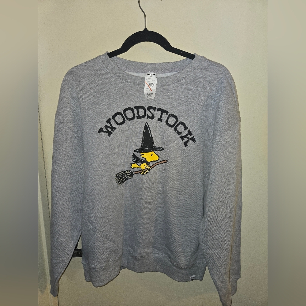 NWT RSQ Gray Woodstock Graphic Hoodie